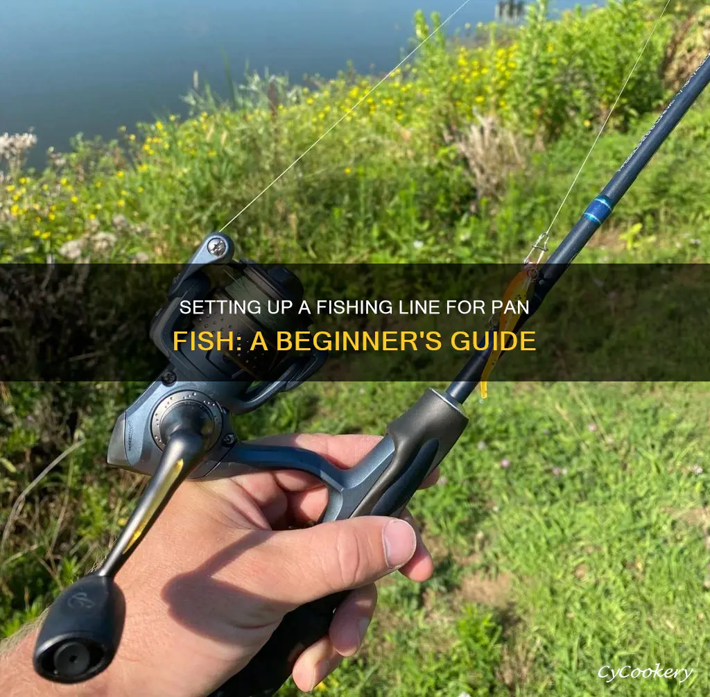 how to set up a fishing line for pan fish