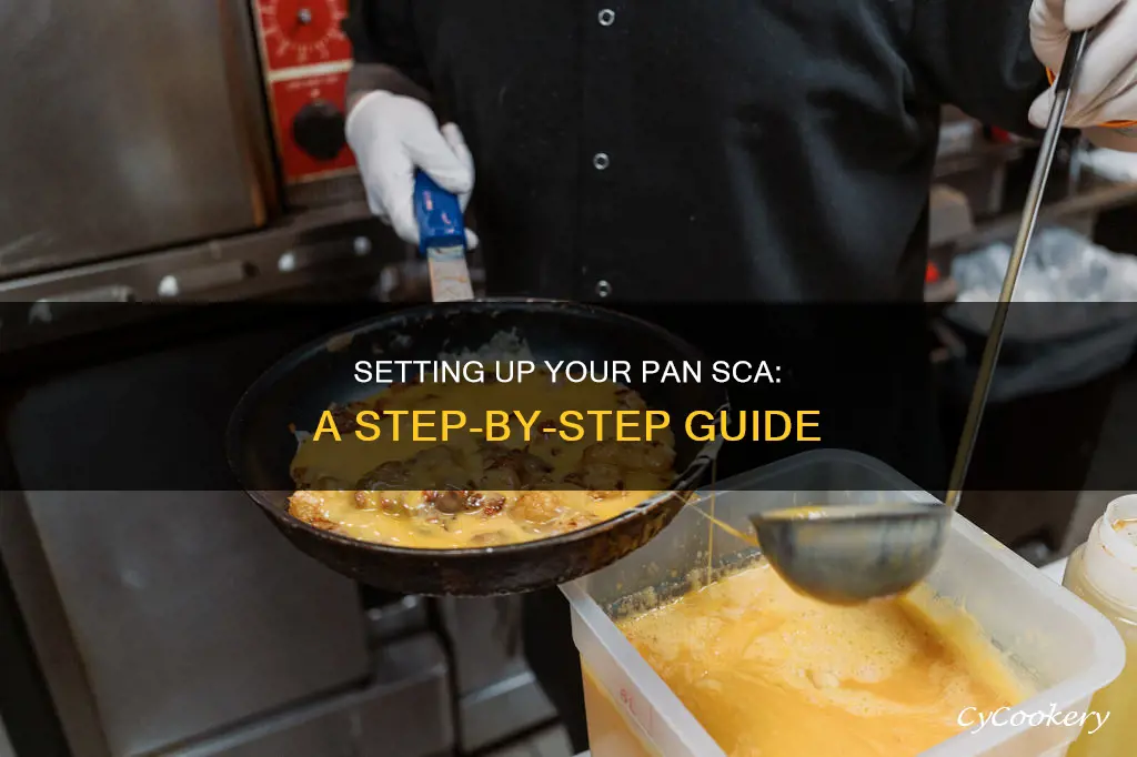 how to set up pan sca