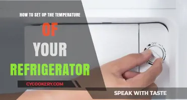 Chill Vibes: Mastering Your Fridge's Temperature Settings