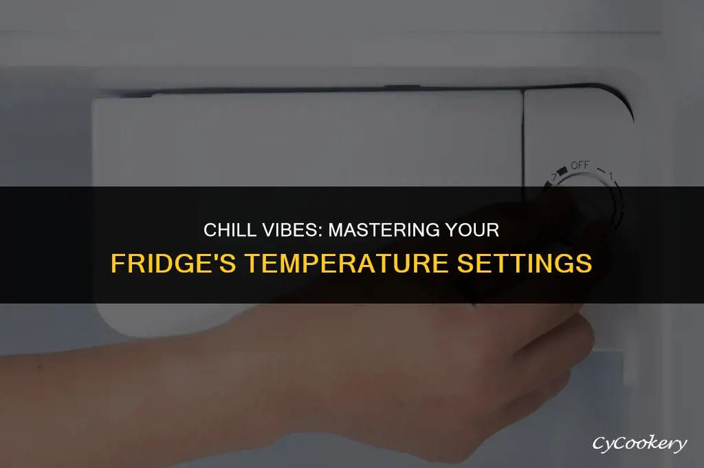 how to set up the temperature of your refrigerator