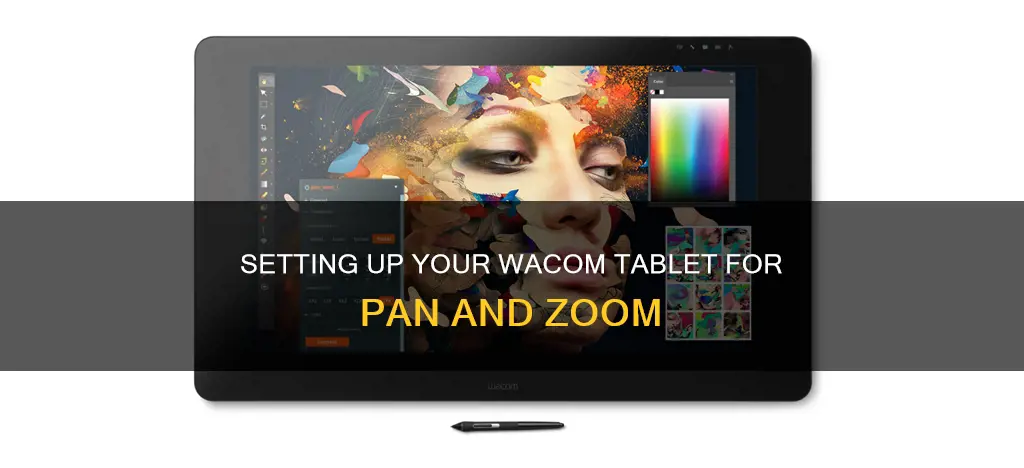 how to set up wacom tablet for pan zoom