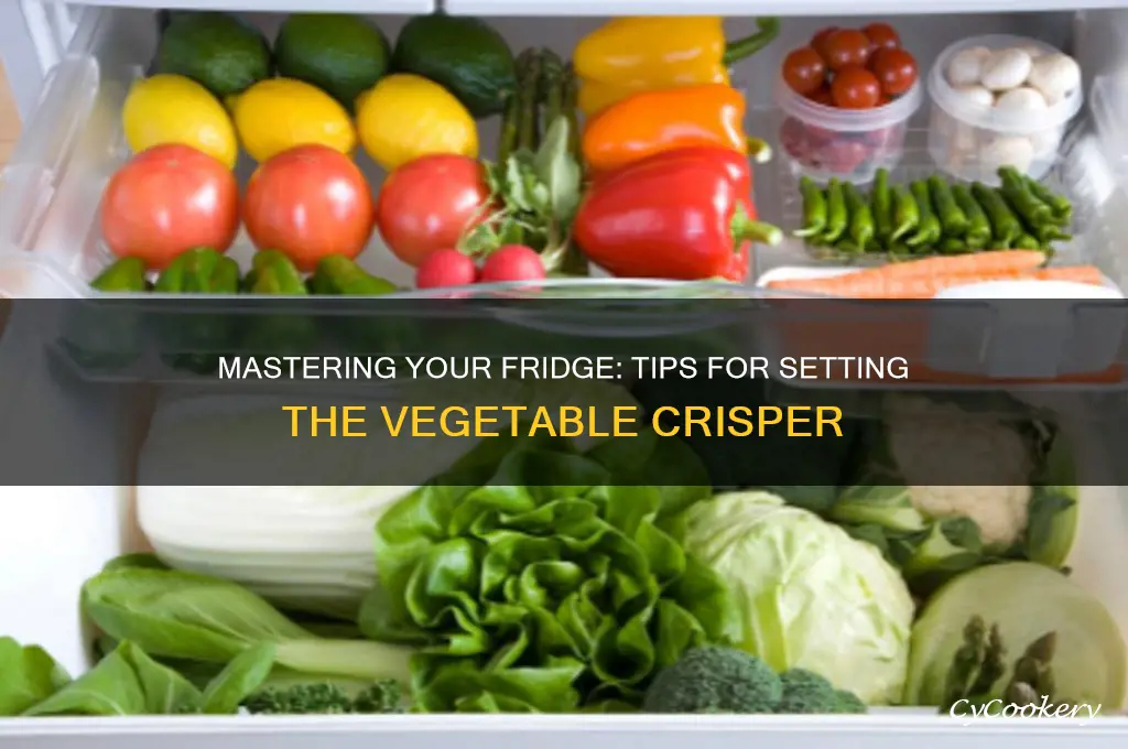 how to set vegetable crisper in refrigerator