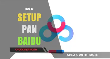 Setting Up Pan Baidu: A Step-by-Step Guide