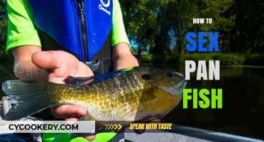 Mastering the Art of Sexing Panfish