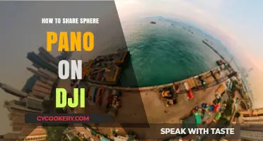 Sharing Sphere Panos: DJI's Guide