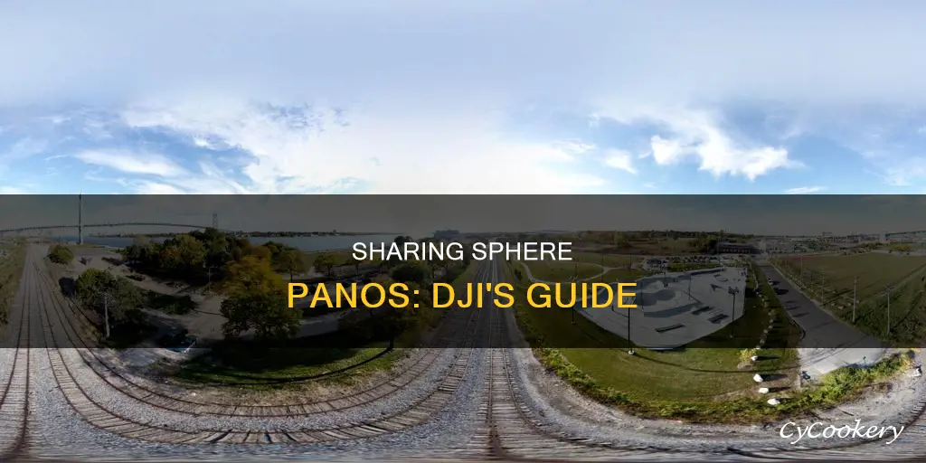 how to share sphere pano on dji