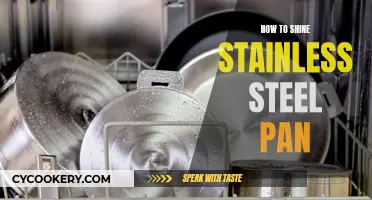 Stainless Steel Pan: Shining Tips