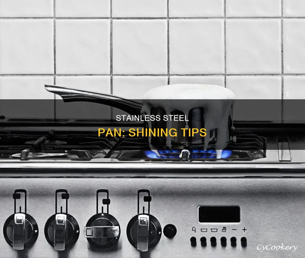 how to shine stainless steel pan