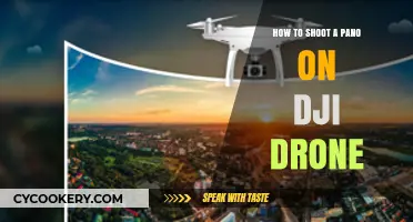 Shooting Panoramas with Your DJI Drone: A Step-by-Step Guide