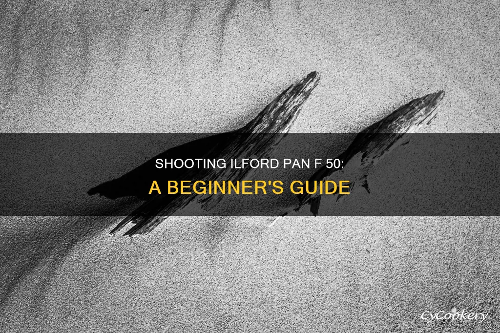how to shoot ilford pan f 50