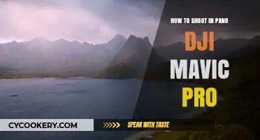 Shooting Panoramas with DJI Mavic Pro: Tips and Tricks