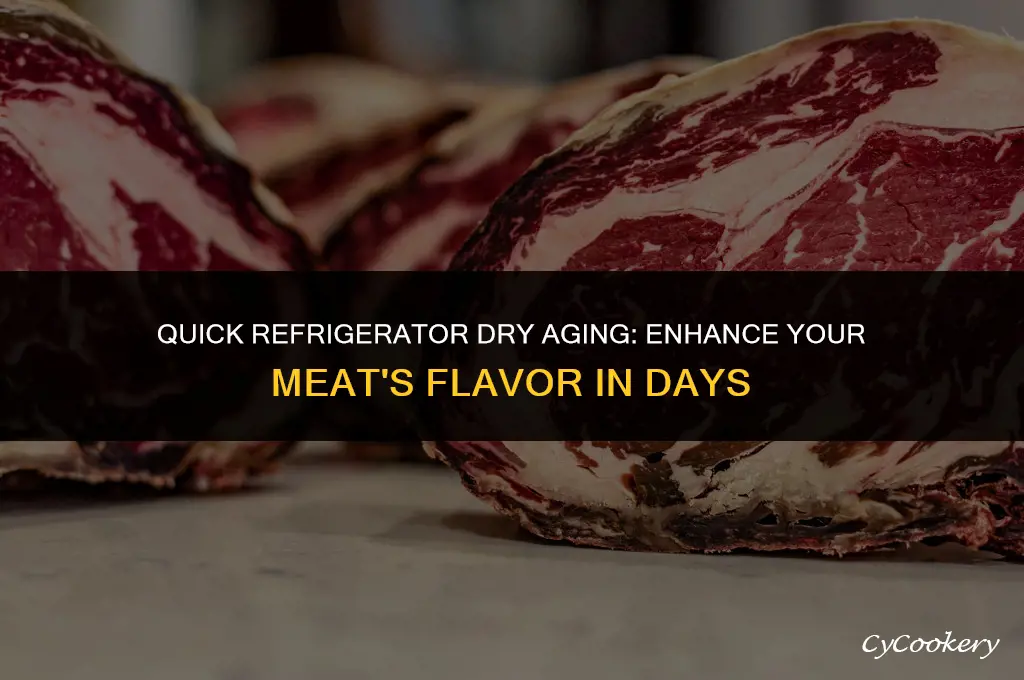 how to short term dry age meat in refrigerator