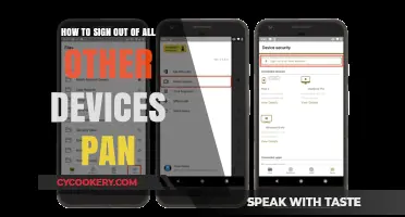 Sign Out of All Other Devices Pan Instantly