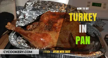 Roast Turkey Perfection: The Best Pan-Sitting Techniques