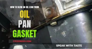 Fixing Oil Pan Gasket Leaks: Temporary Solutions and Prevention