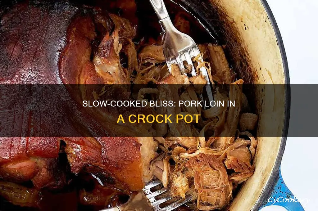 how to slow cook a pork loin in crock pot