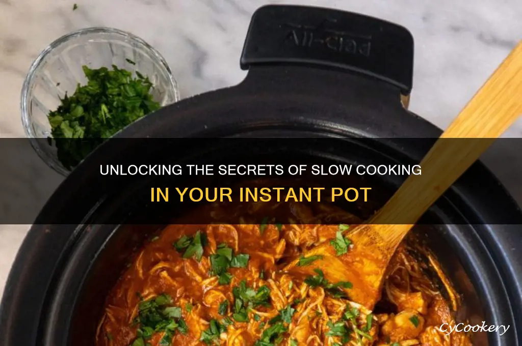 how to slow cook intant pot