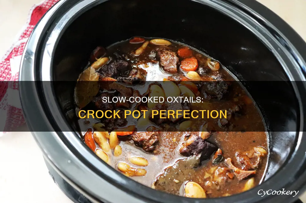how to slow cook oxtails in crock pot