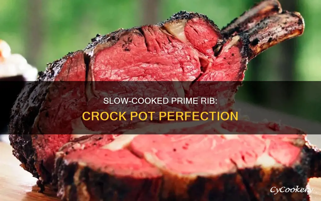 how to slow cook prime rib in crock pot