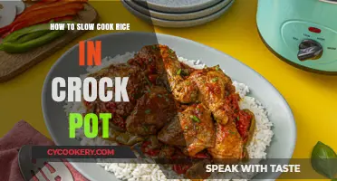 Slow-Cooking Rice: Crock-Pot Secrets for Perfect Rice