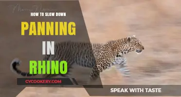 Mastering Rhino: Slow Panning for Precise Navigation