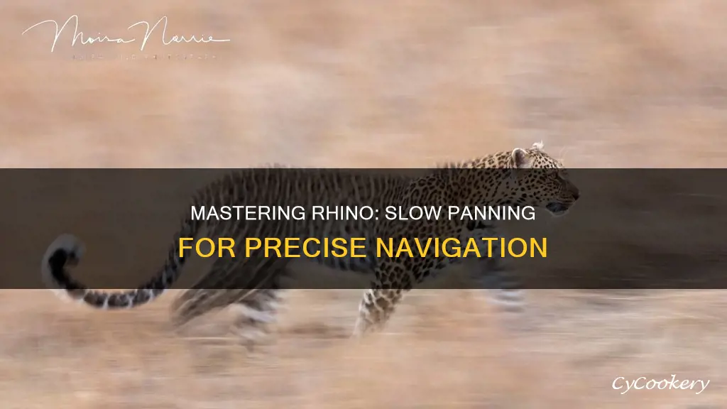 how to slow down panning in rhino