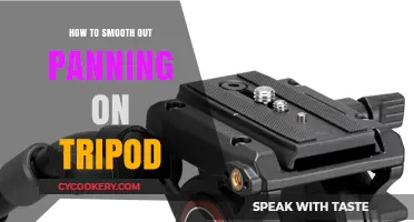 Tripod Panning: Smooth Moves for Perfect Pans