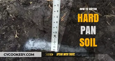Breaking Hard Pan Soil: Tips for a Greener Thumb