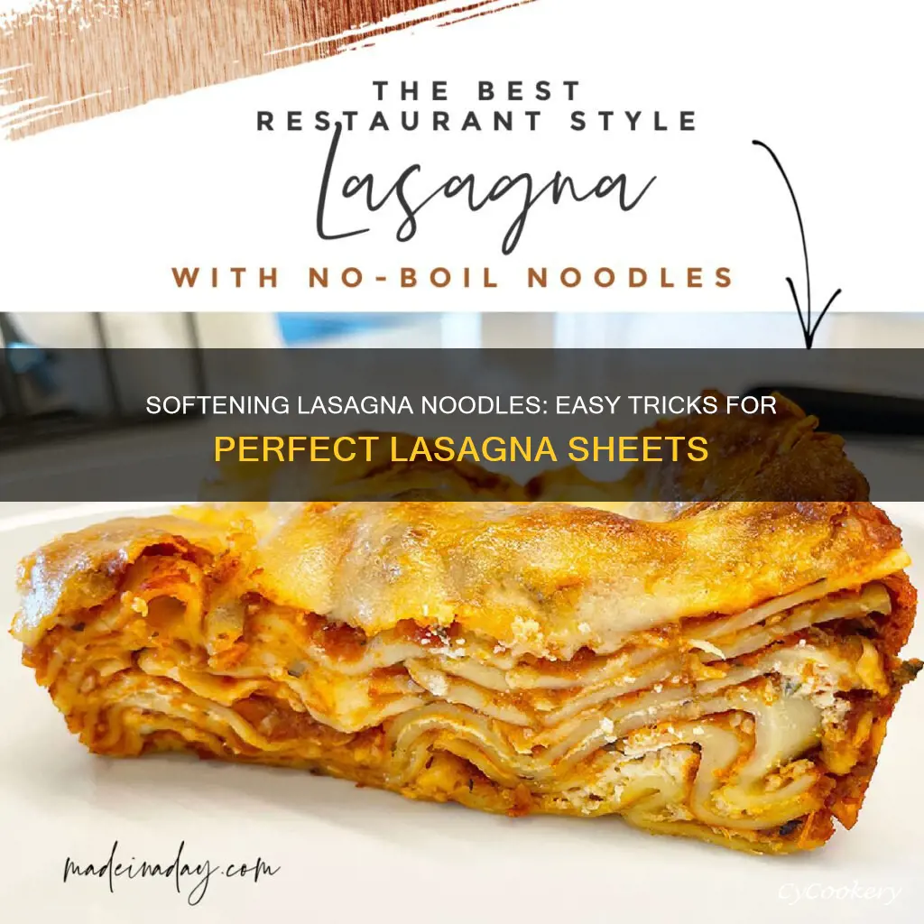 how to soften pan ready lasanga noodles