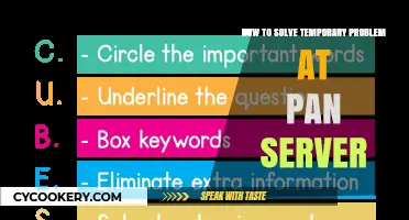 Solving Temporary Problems at Pan Server: Quick Guide