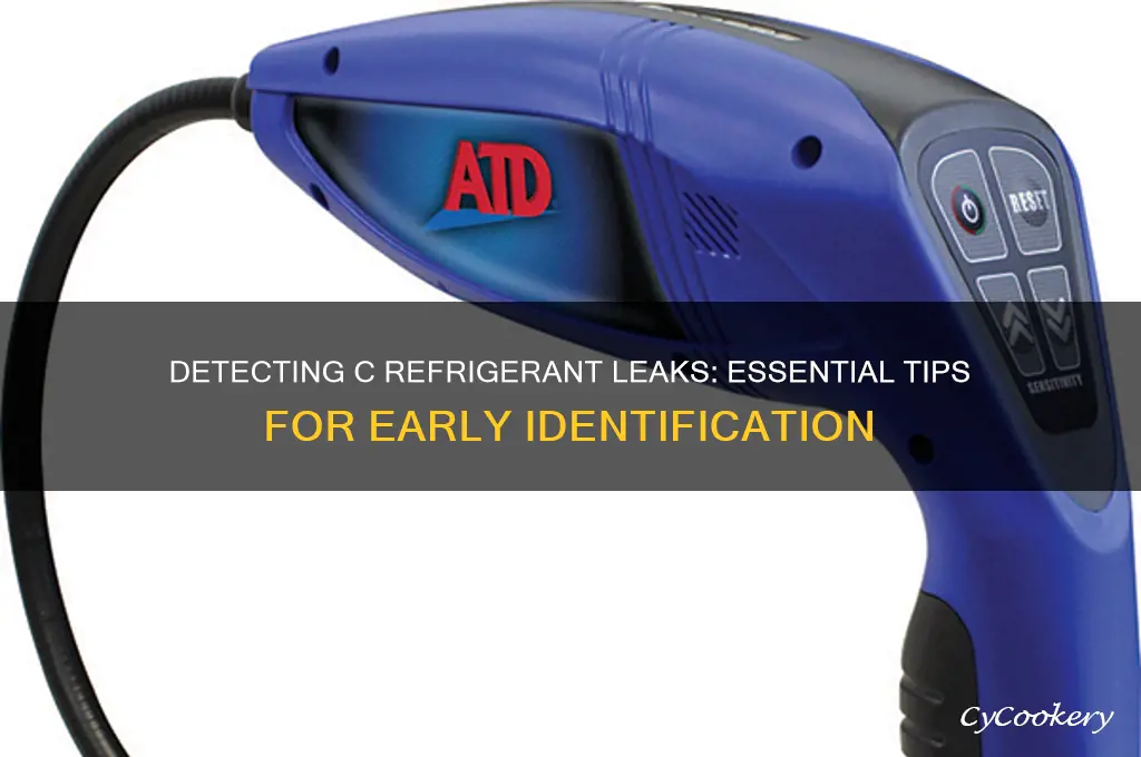 how to spot a c refrigerant leaking