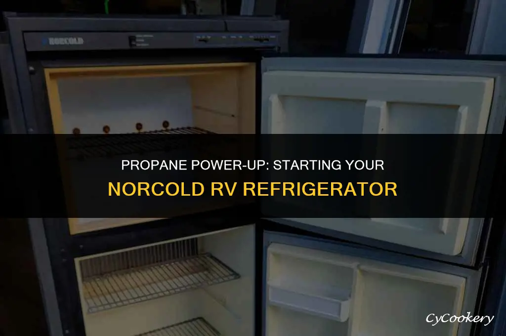 how to start a norcold rv refrigerator on propane
