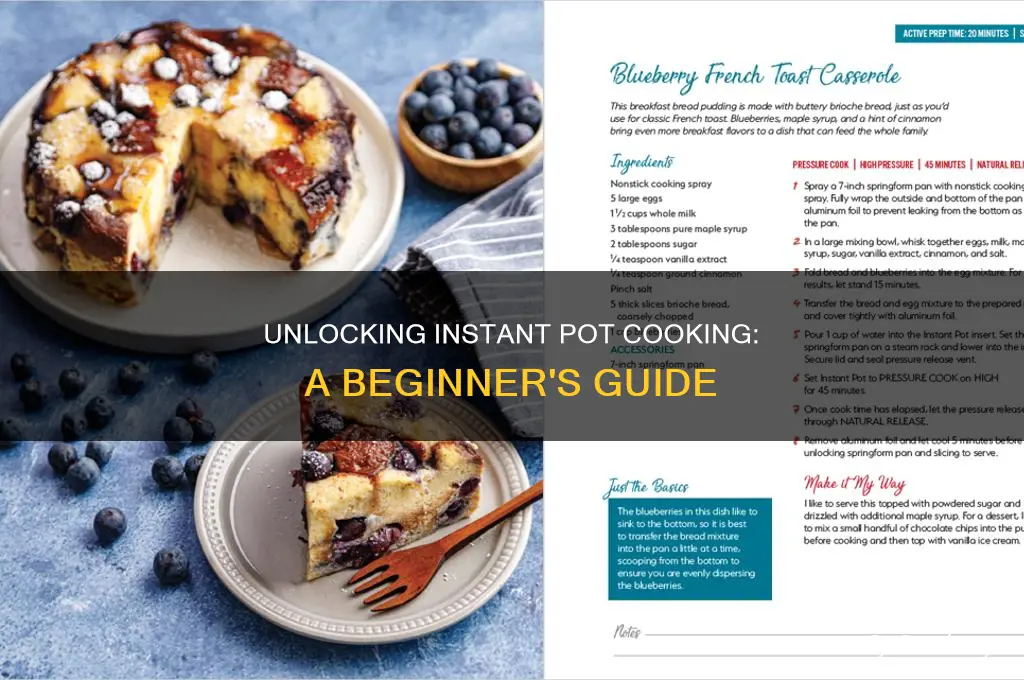 how to start with instan pot cooking