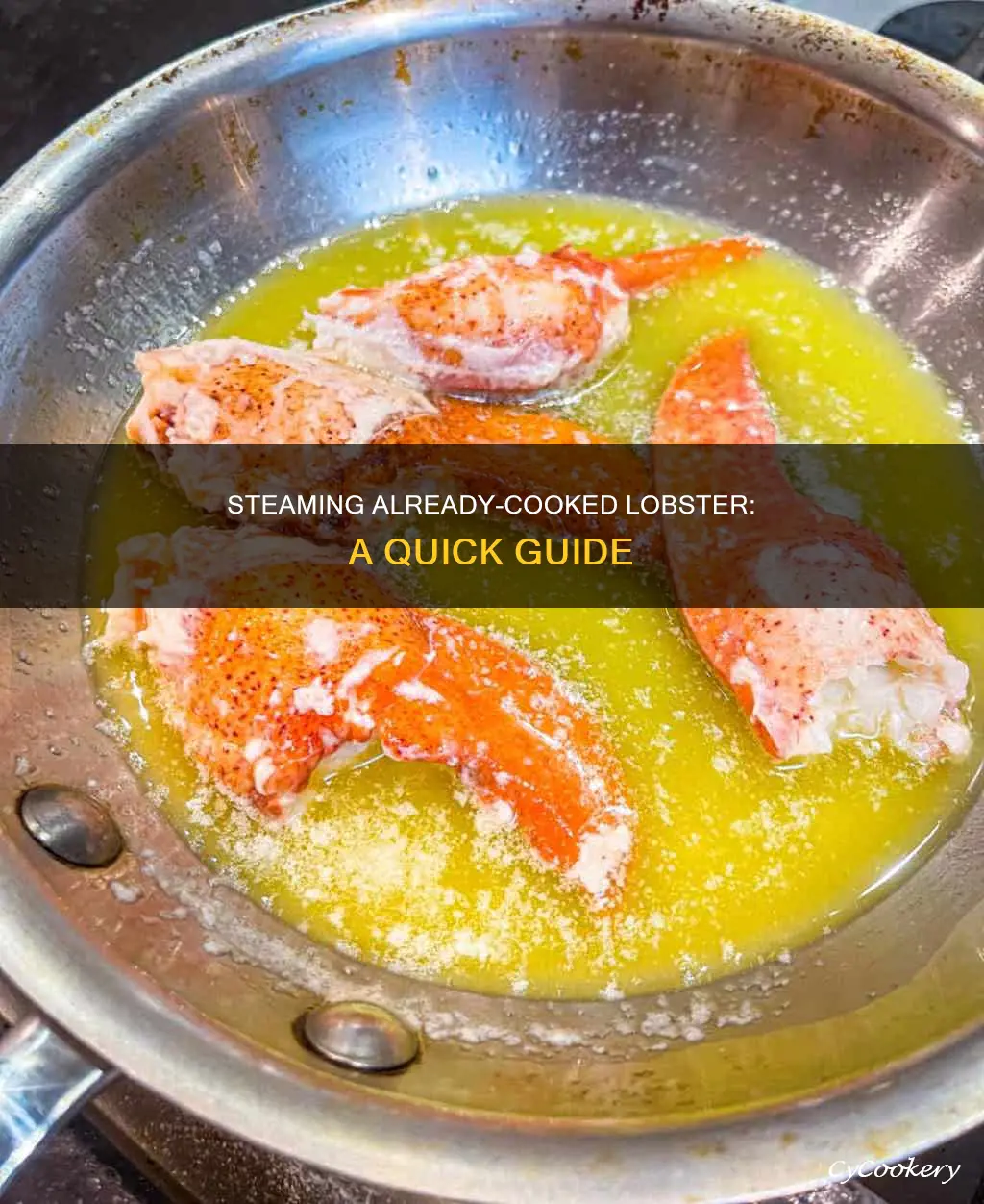 how to steam already cooked lobster