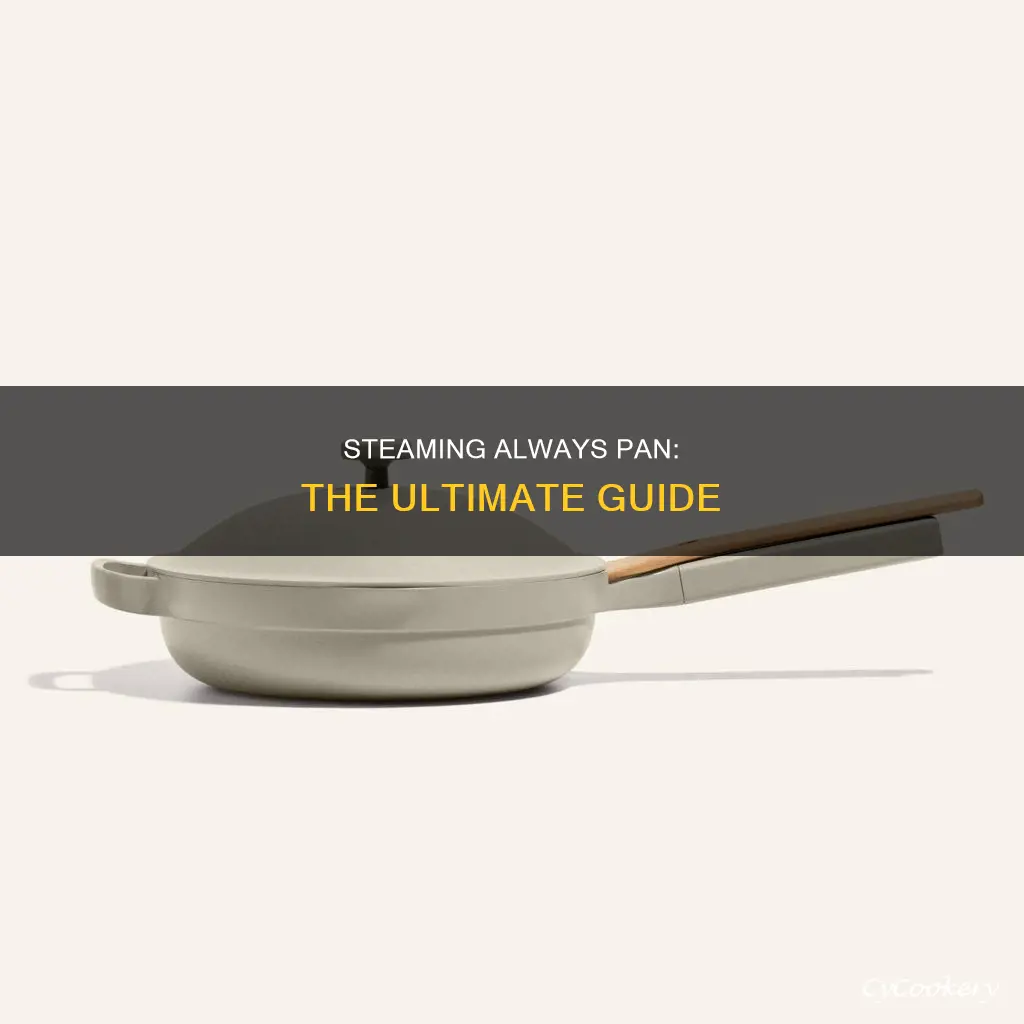 how to steam always pan