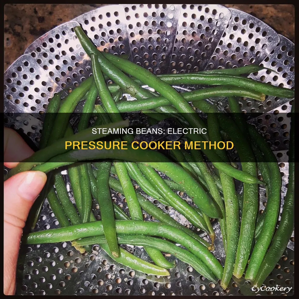 how to steam beans in electric pressure cooker