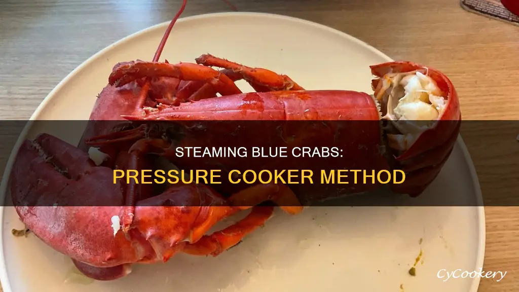 how to steam blue crabs in pressure cooker