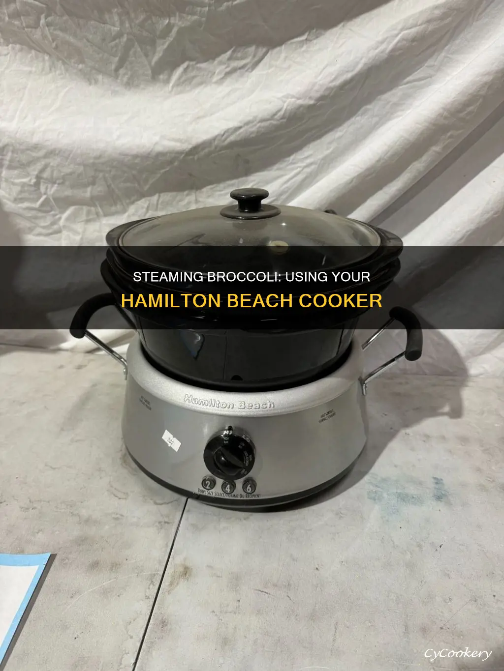 how to steam broccoli in a hamilton beach cooker