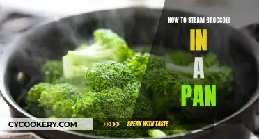 Steaming Broccoli: A Quick, Easy, and Healthy Pan-Steam Method