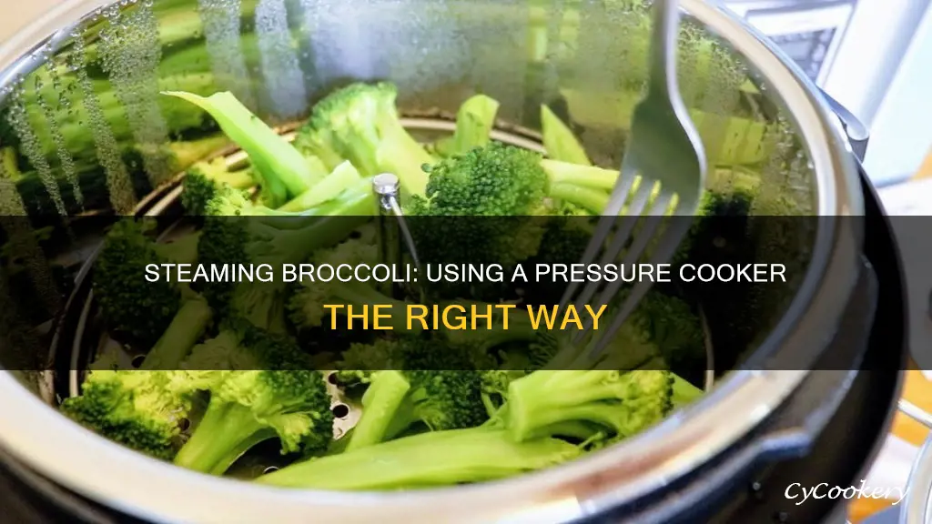 how to steam broccoli in a pressure cooker