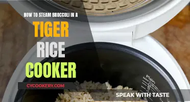 Steaming Broccoli: Using Your Tiger Rice Cooker to Perfection