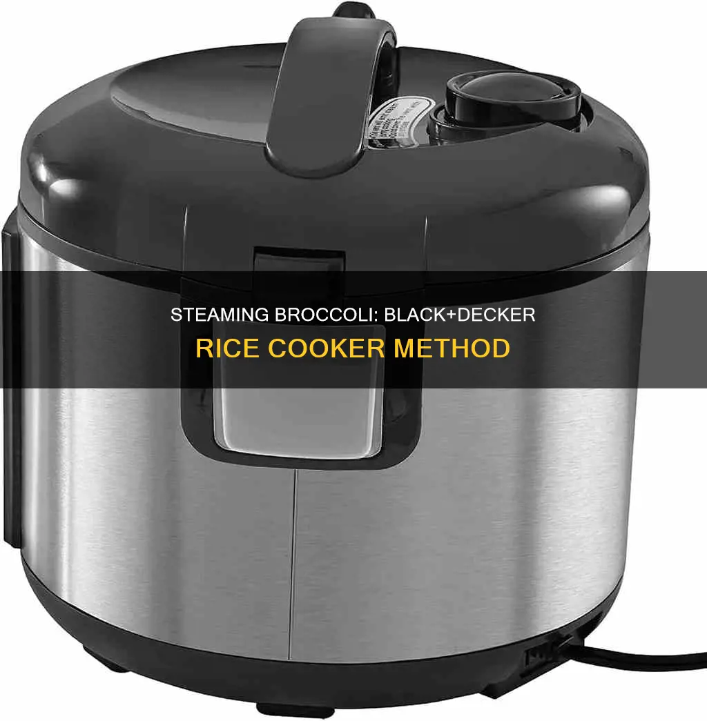 how to steam broccoli in black and decker rice cooker