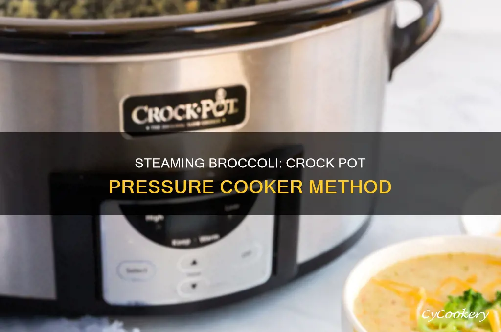 how to steam broccoli in crock pot pressure cooker