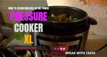 Steaming Broccoli: Power Pressure Cooker XL Method