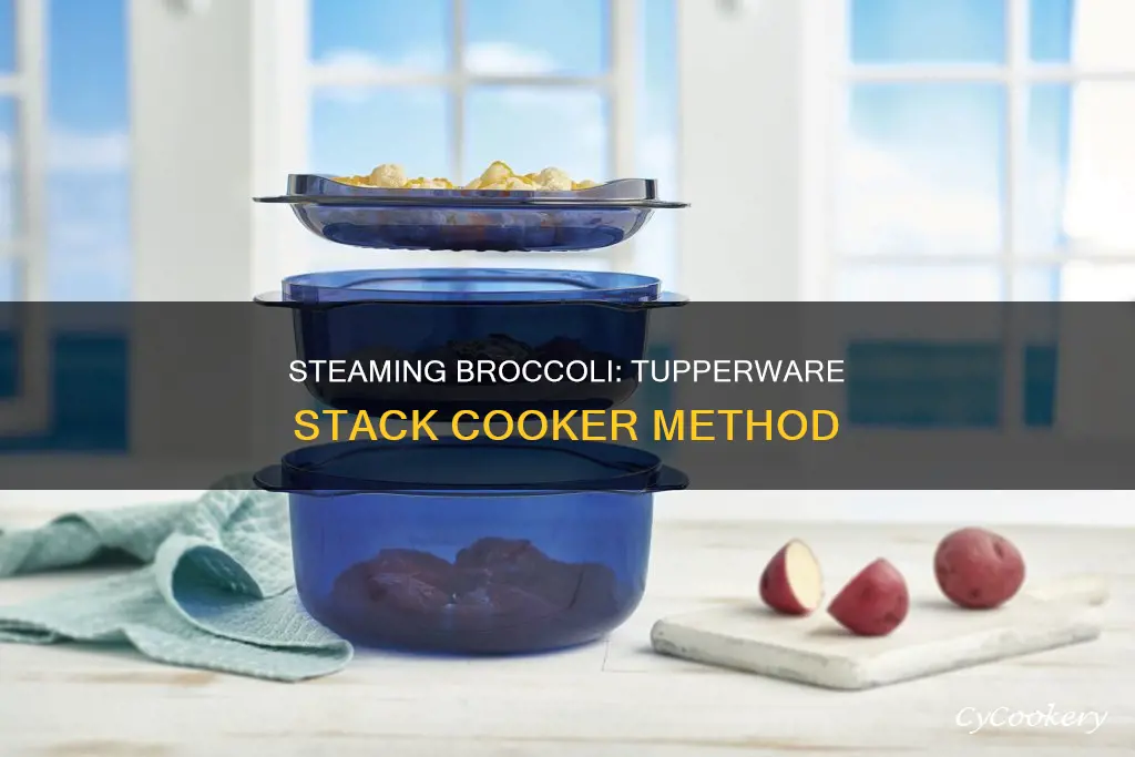 how to steam broccoli in tupperware stack cooker