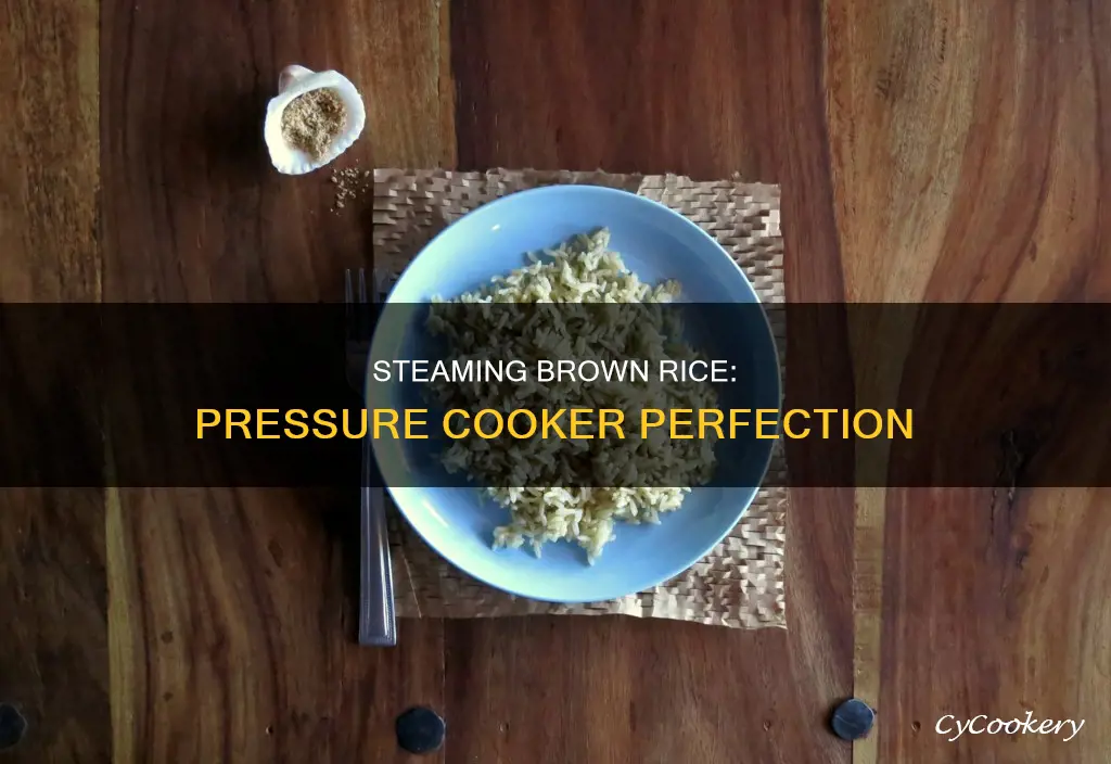 how to steam brown rice in a pressure cooker