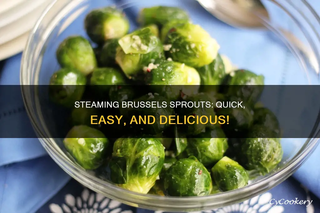 how to steam brussel sprouts in a pan