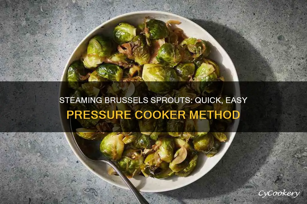 how to steam brussel sprouts in a pressure cooker