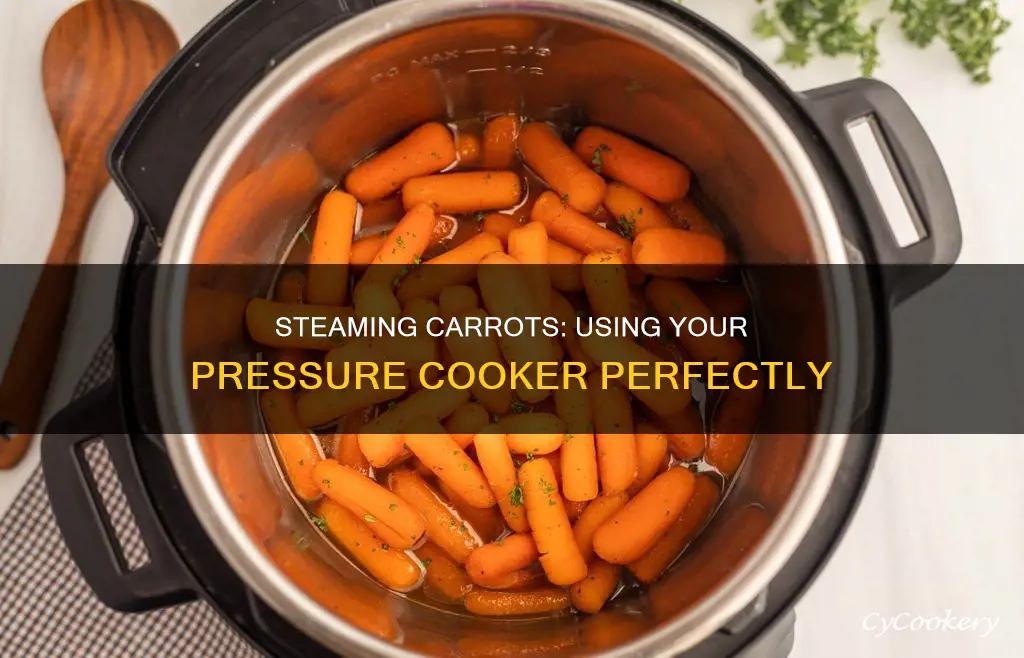 how to steam carrots in a pressure cooker