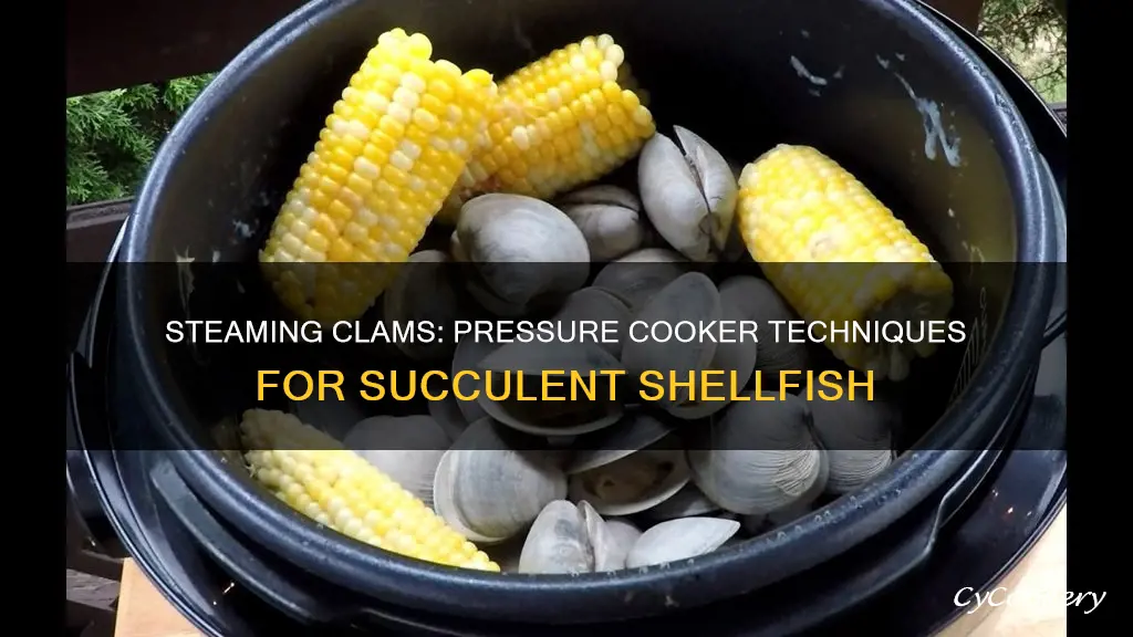 how to steam clams in a pressure cooker